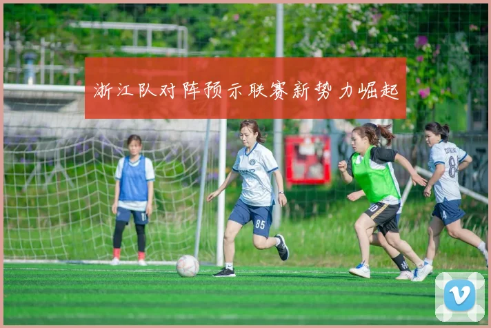 浙江队对阵预示联赛新势力崛起