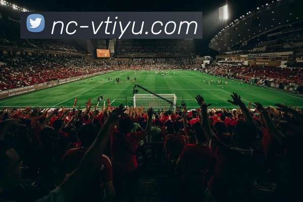 vtiyu平台生态图